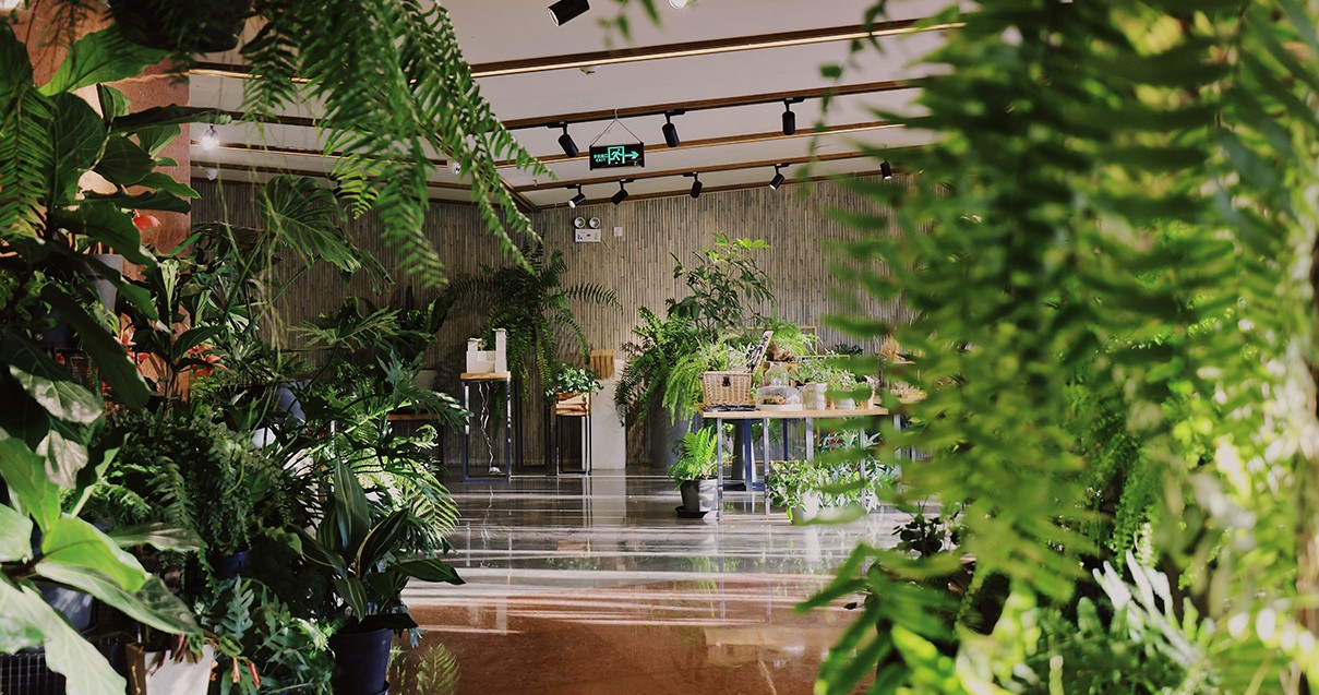 yl6809永利奥莱·滇池小镇